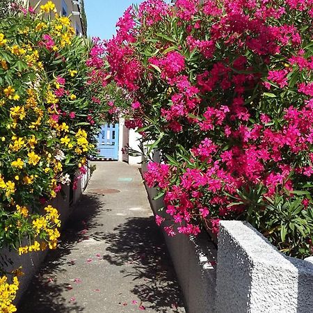 Les Amandines Villa Agde Eksteriør billede